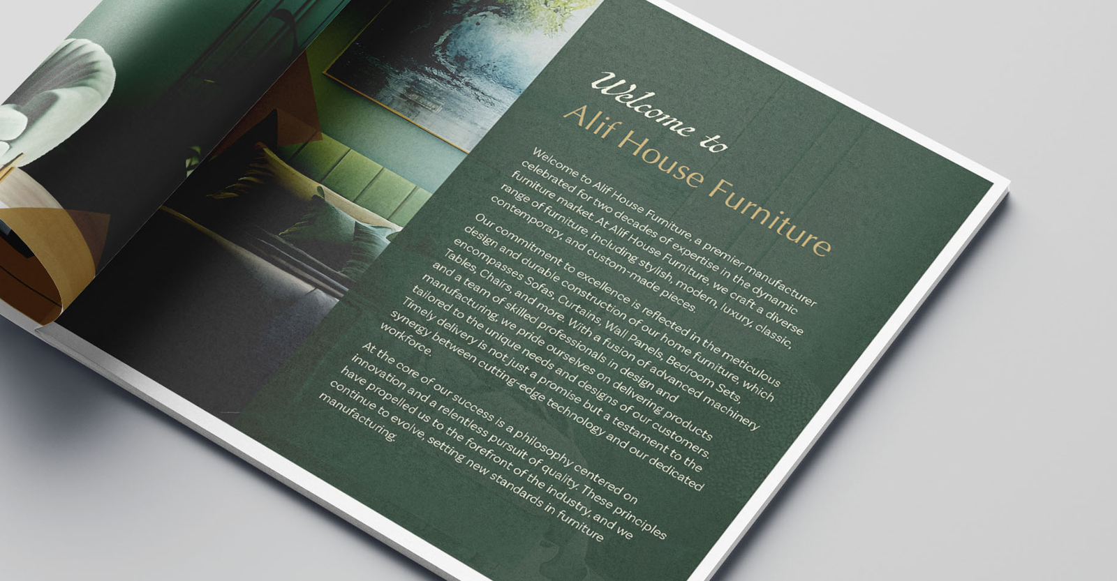 First page of Alif House Furniture company profile by Design360