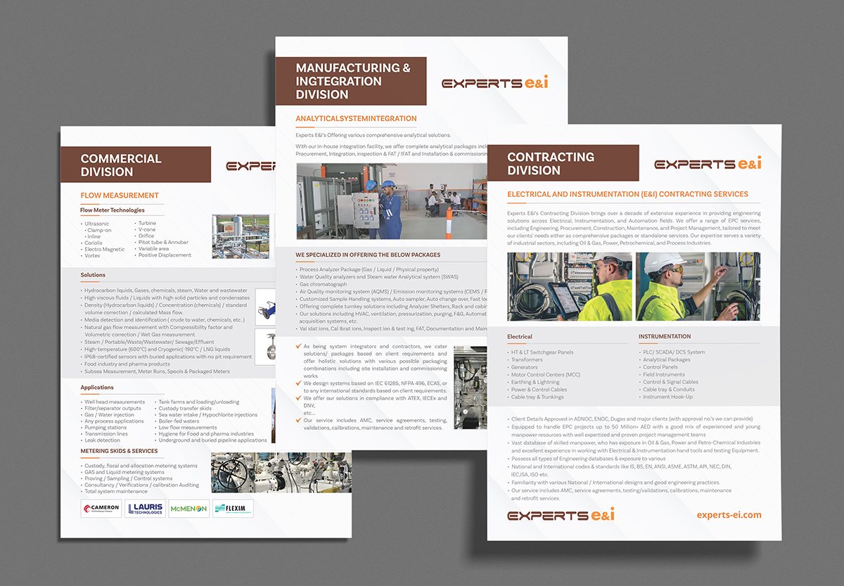 Experts E&I Promotional Leaflet Design